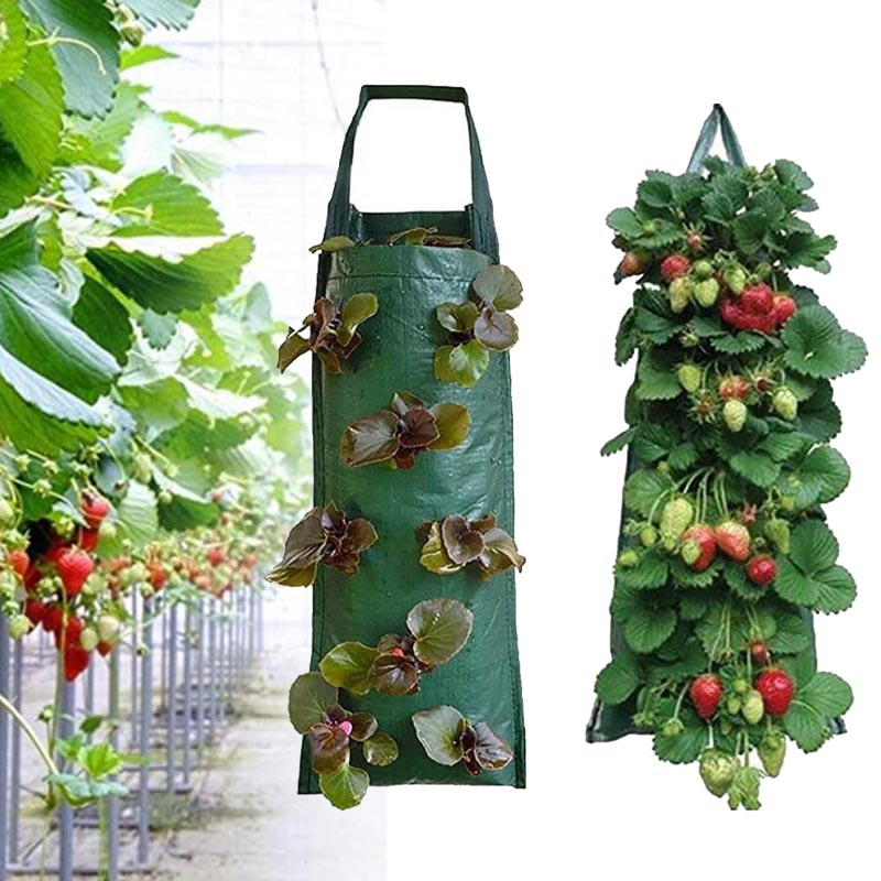 4 8 Pockets Strawberry Planting Bags Garden Plant Grow Bags Hanging Planter