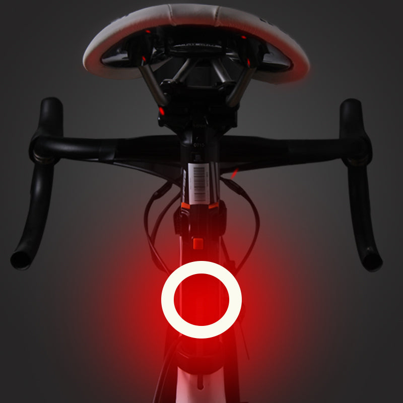 Bicycle Taillight Multi Lighting Modes models USB Charge Rear Lights for road Mtb Bike Seatpost