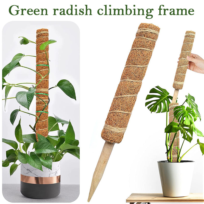 Plant Cages Supports Plant Climbing Stand Durable Flower Plants Support for Balcony Garden